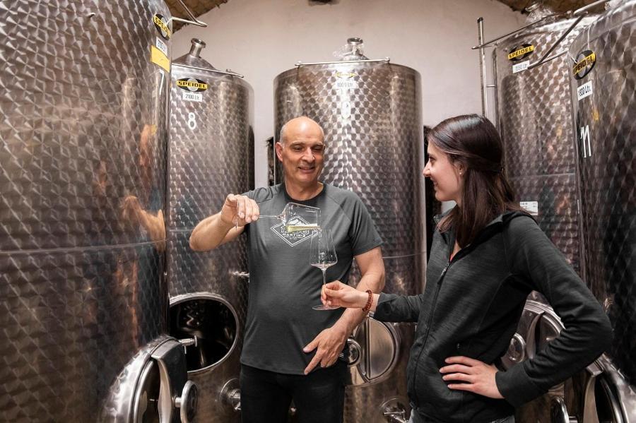 Weingut Donabaum "In Der Spitz" Διαμέρισμα Spitz an der Donau Εξωτερικό φωτογραφία