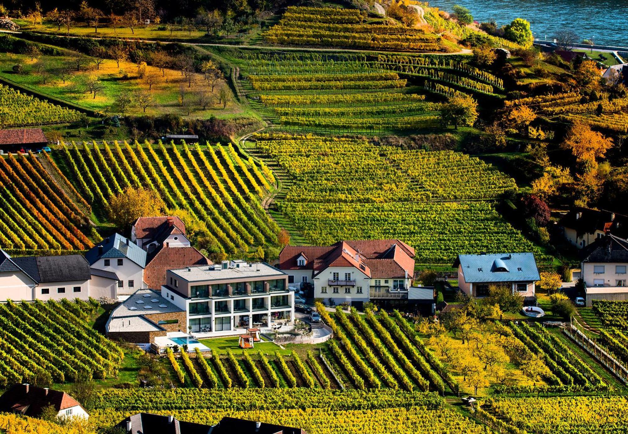 Weingut Donabaum "In Der Spitz" Διαμέρισμα Spitz an der Donau Δωμάτιο φωτογραφία