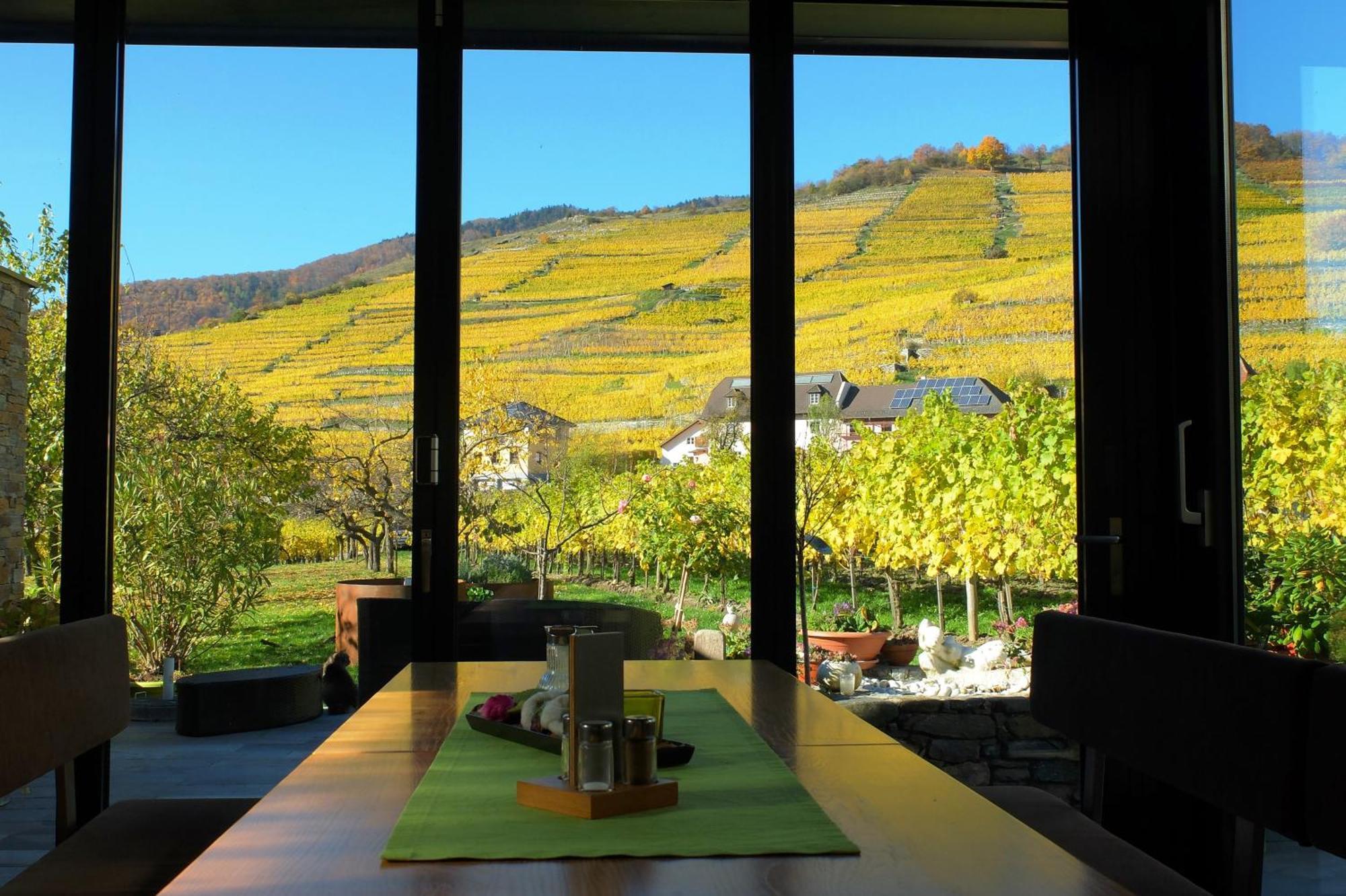 Weingut Donabaum "In Der Spitz" Διαμέρισμα Spitz an der Donau Δωμάτιο φωτογραφία