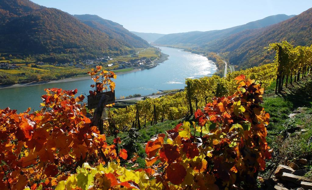 Weingut Donabaum "In Der Spitz" Διαμέρισμα Spitz an der Donau Εξωτερικό φωτογραφία
