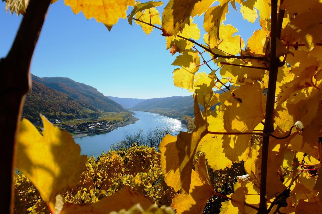 Weingut Donabaum "In Der Spitz" Διαμέρισμα Spitz an der Donau Εξωτερικό φωτογραφία
