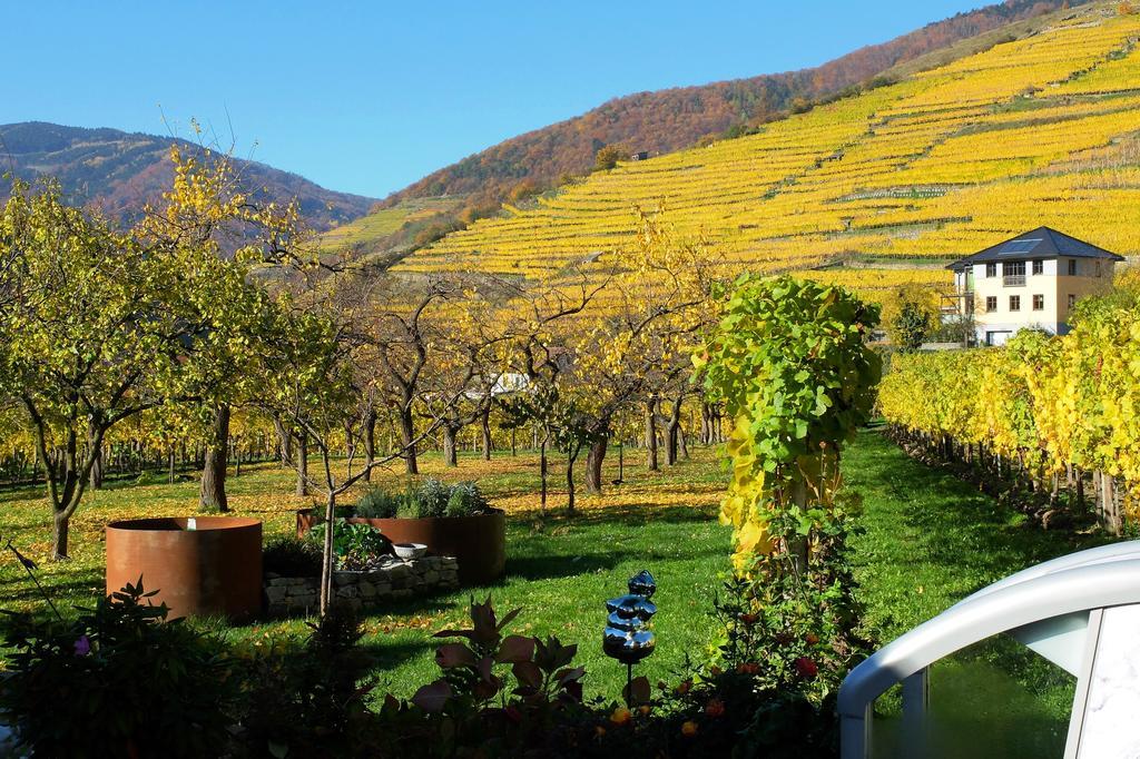 Weingut Donabaum "In Der Spitz" Διαμέρισμα Spitz an der Donau Εξωτερικό φωτογραφία