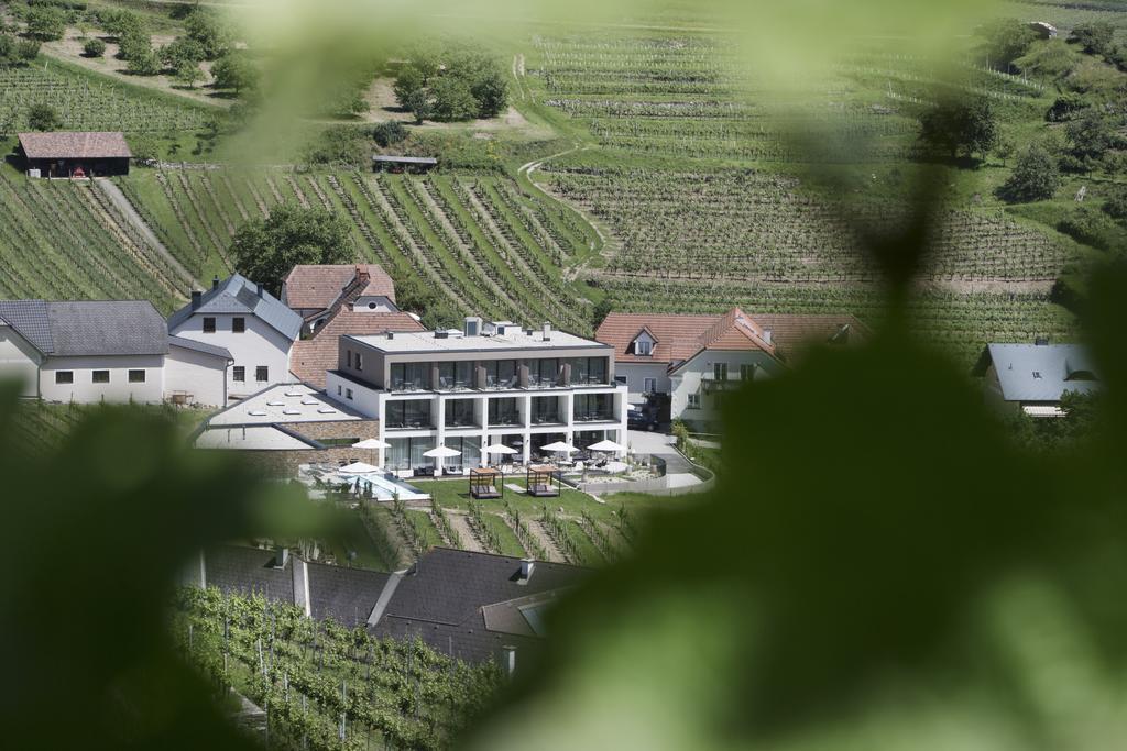 Weingut Donabaum "In Der Spitz" Διαμέρισμα Spitz an der Donau Εξωτερικό φωτογραφία