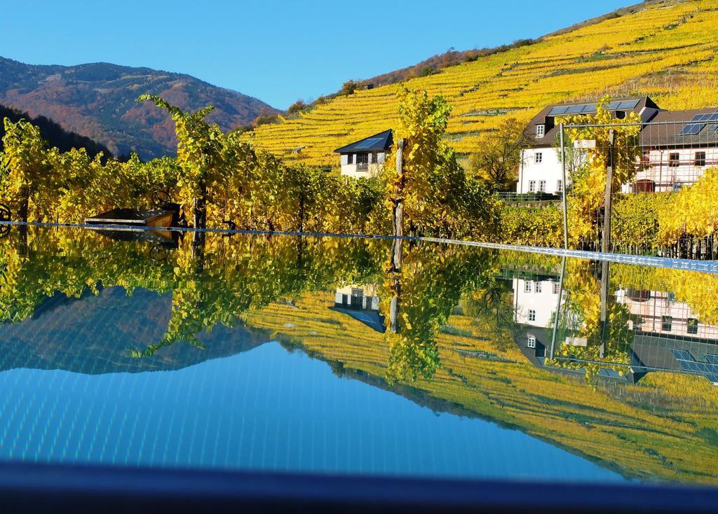 Weingut Donabaum "In Der Spitz" Διαμέρισμα Spitz an der Donau Εξωτερικό φωτογραφία