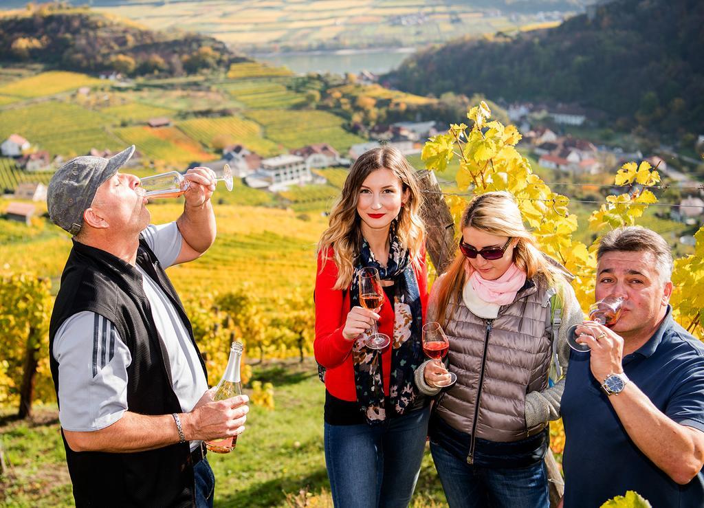 Weingut Donabaum "In Der Spitz" Διαμέρισμα Spitz an der Donau Εξωτερικό φωτογραφία