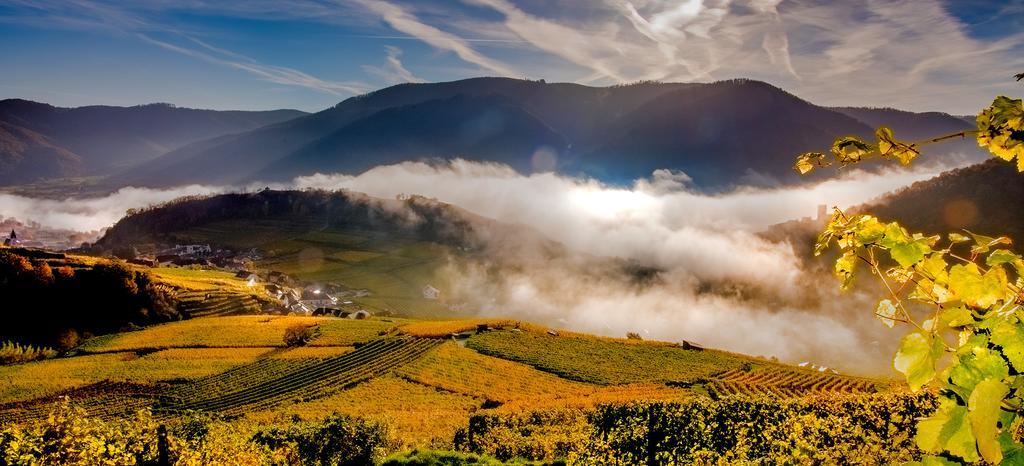 Weingut Donabaum "In Der Spitz" Διαμέρισμα Spitz an der Donau Εξωτερικό φωτογραφία