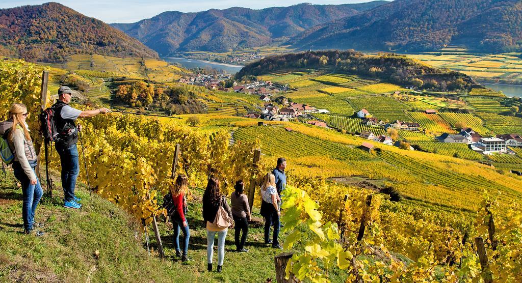 Weingut Donabaum "In Der Spitz" Διαμέρισμα Spitz an der Donau Εξωτερικό φωτογραφία