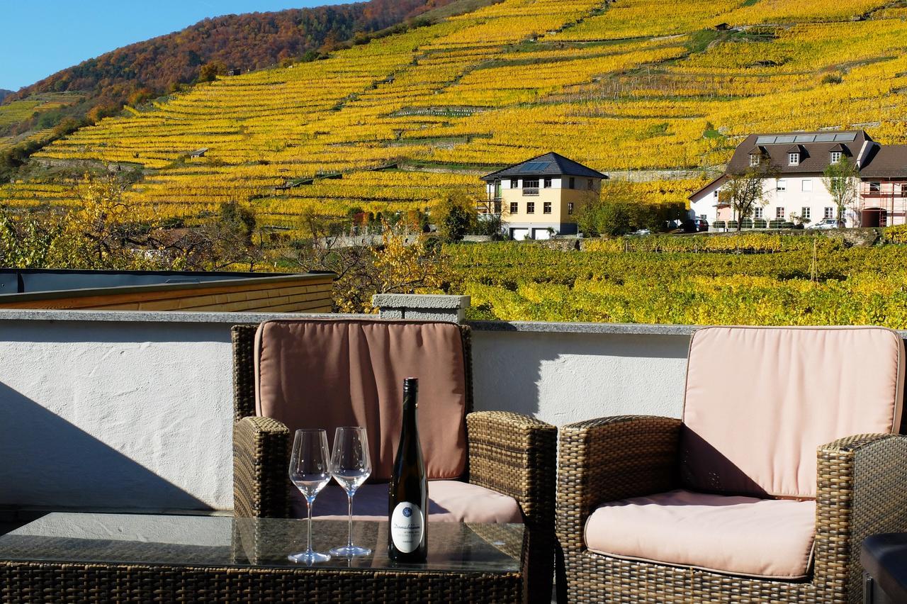 Weingut Donabaum "In Der Spitz" Διαμέρισμα Spitz an der Donau Εξωτερικό φωτογραφία